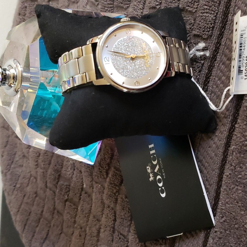 Coach Grand Pave Crystal Dial Silver Stainless Steel Watch